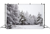 Winter Backdrops Snowy Landscape Icy Branches Backdrop BRP11-4