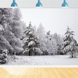 Winter Backdrops Snowy Landscape Icy Branches Backdrop BRP11-4