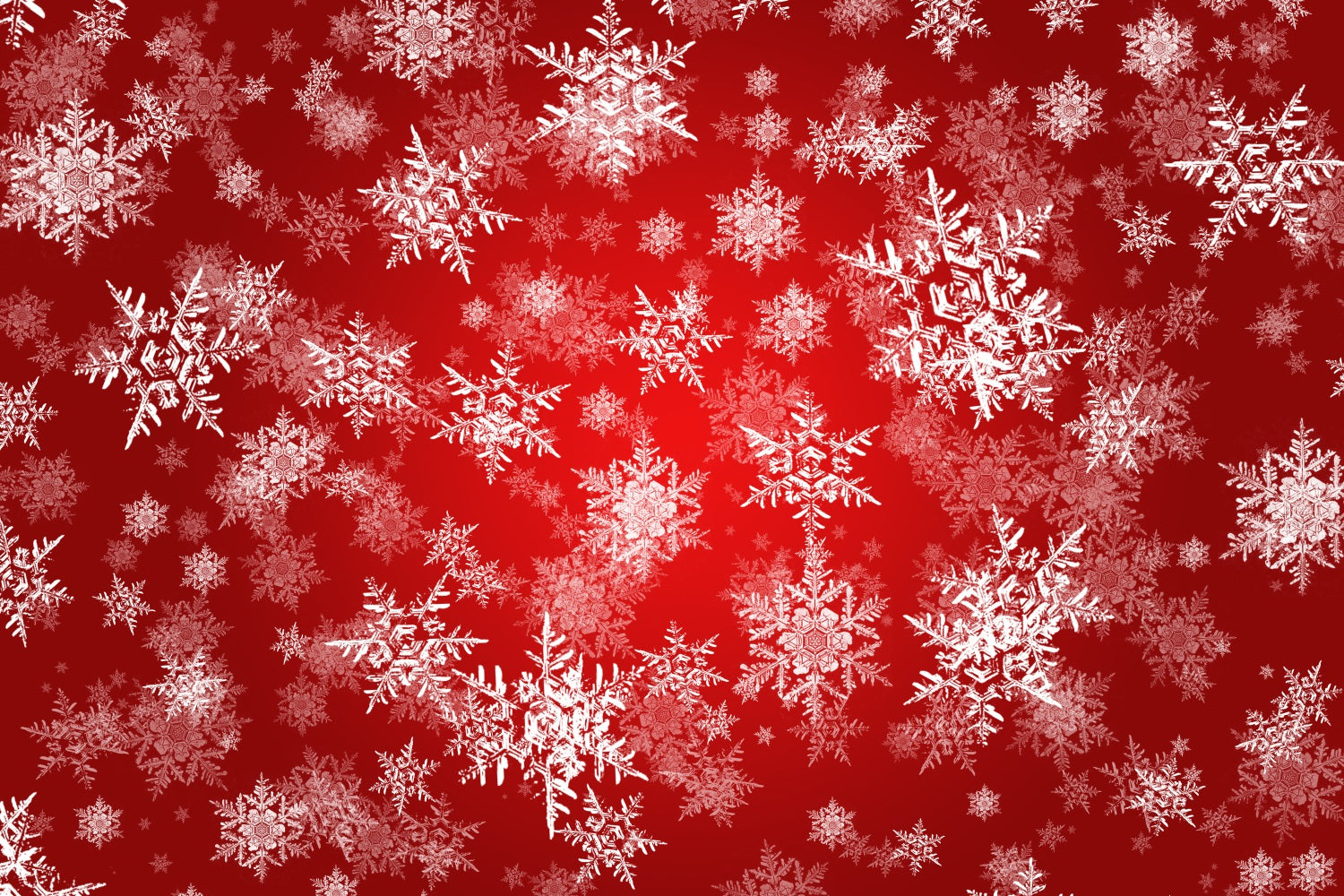 Winter Backdrop Ideas Snowflakes Red Magic Photography Backdrop BRP11-457