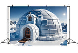 Winter Serene Backdrop Snowy Igloo Bright Sky Backdrop BRP11-47