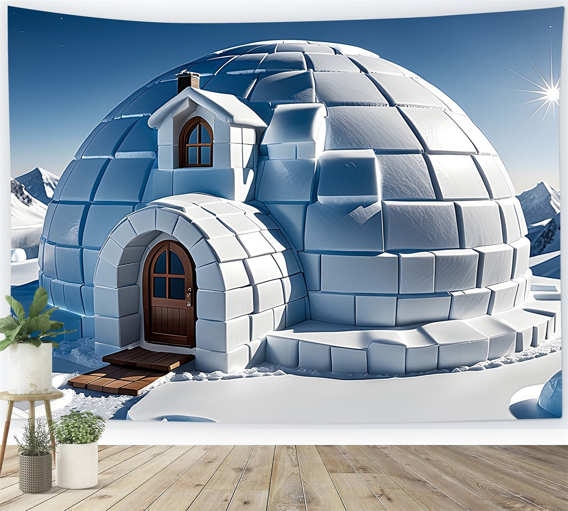 Winter Serene Backdrop Snowy Igloo Bright Sky Backdrop BRP11-47