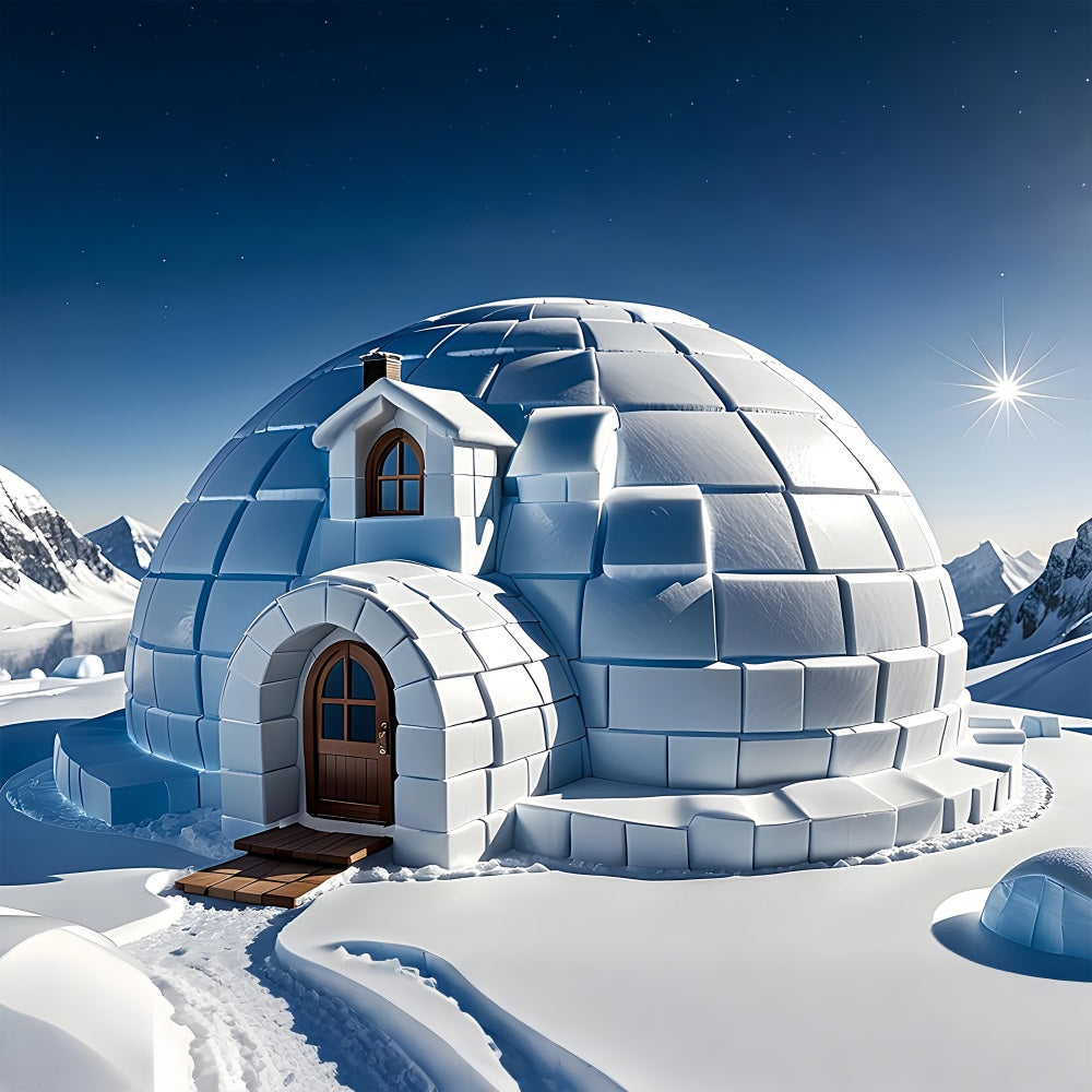 Winter Serene Backdrop Snowy Igloo Bright Sky Backdrop BRP11-47