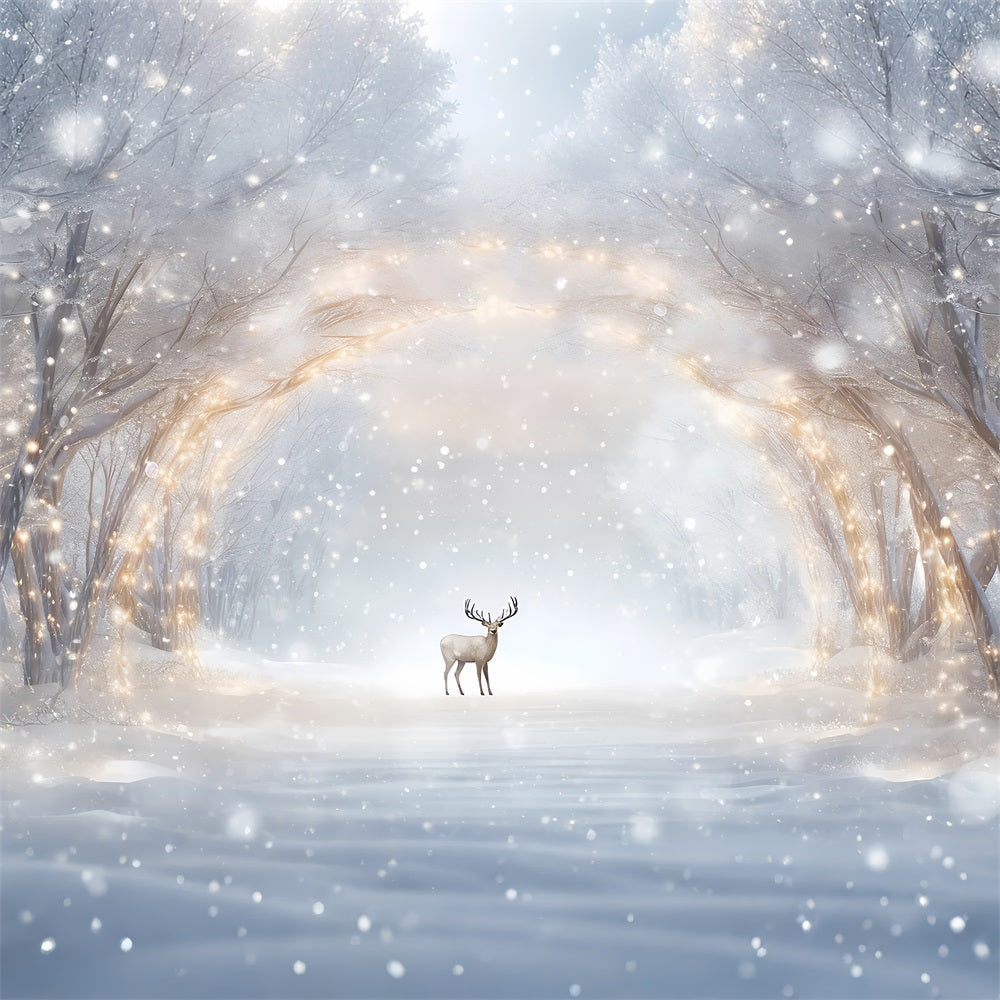 Winter Scene Backdrop Snowy Pathway Glow Reindeer Backdrop BRP11-477