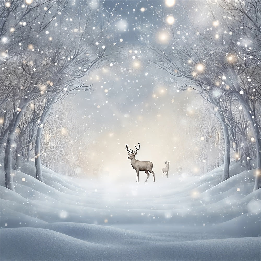 Winter Photography Backdrops Snowy Forest Path Reindeer Backdrop BRP11-478