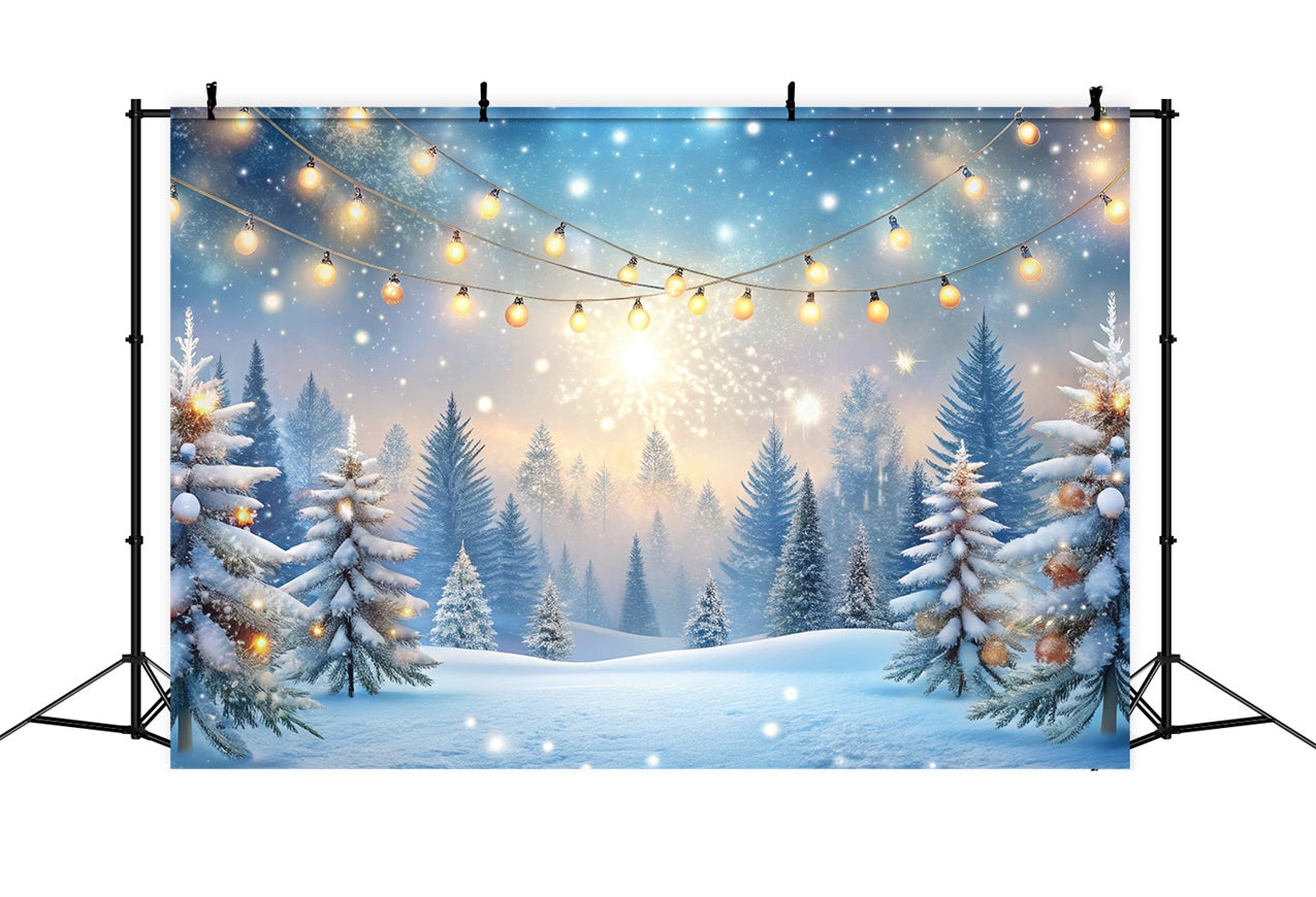 Winter Forest Backdrop Glimmering Lights Frosted Trees Backdrop BRP11-483