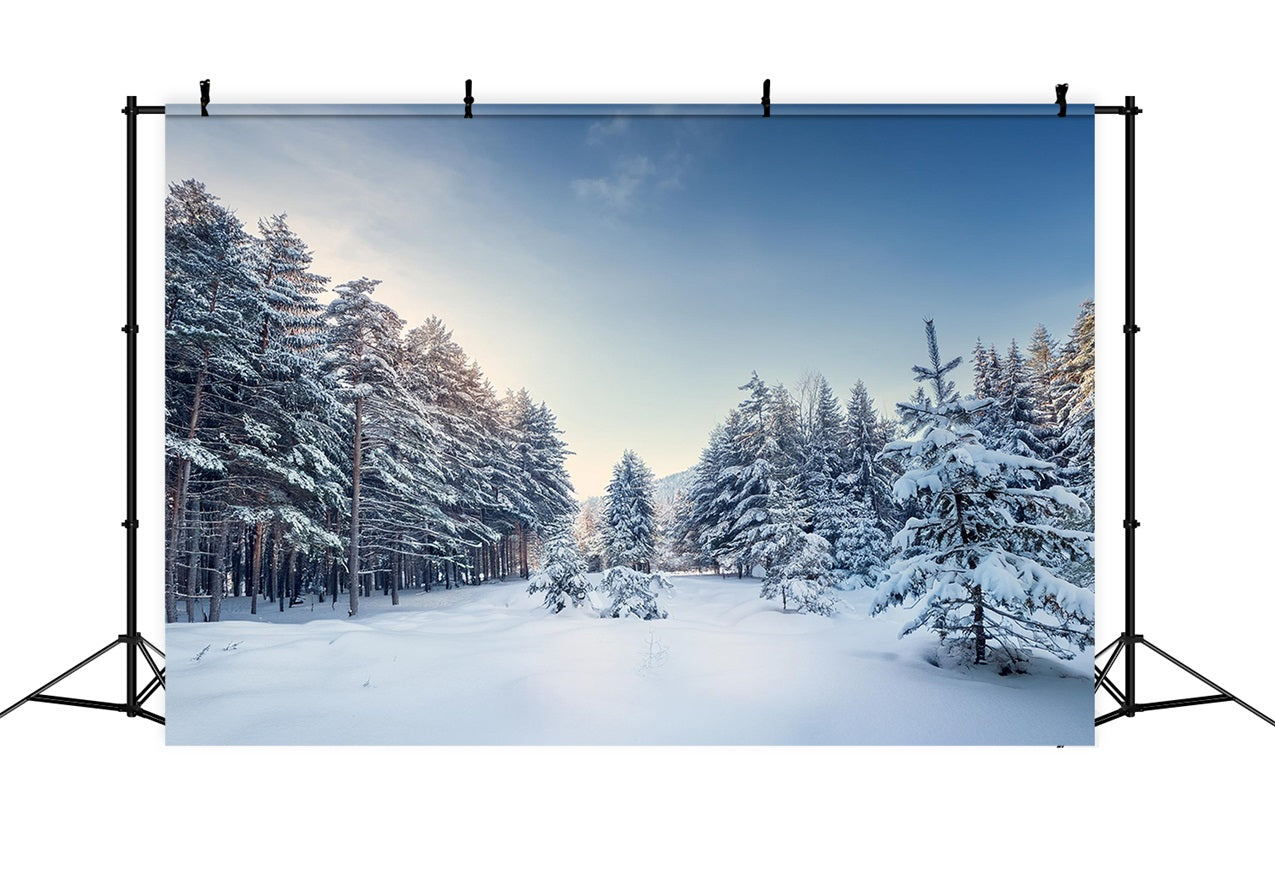 Winter Woods Backdrop Serene Pine Landscape Backdrop BRP11-490