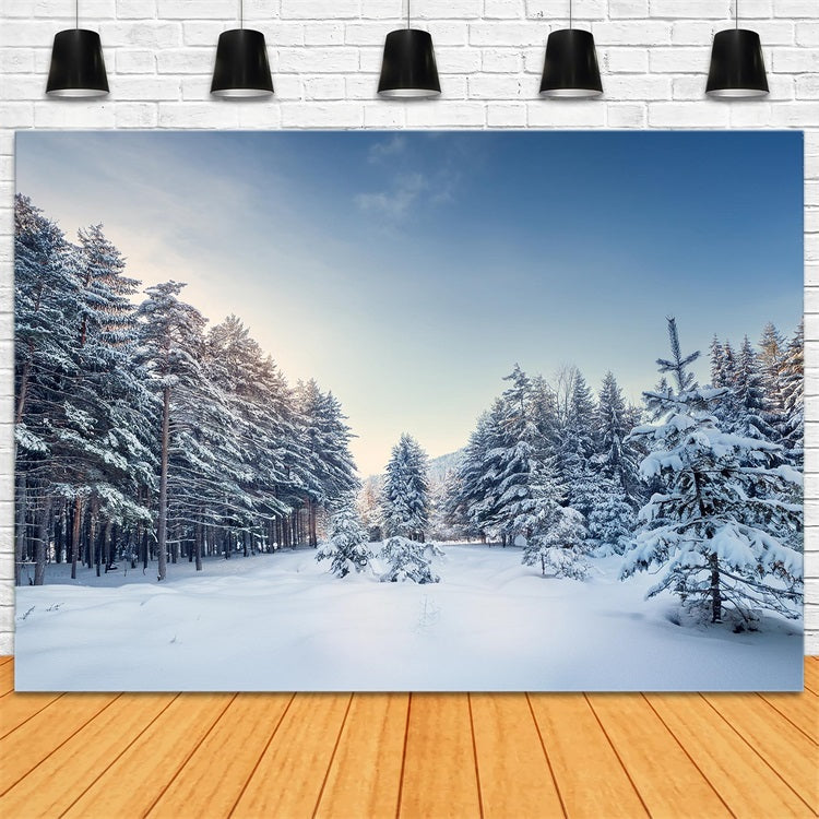 Winter Woods Backdrop Serene Pine Landscape Backdrop BRP11-490