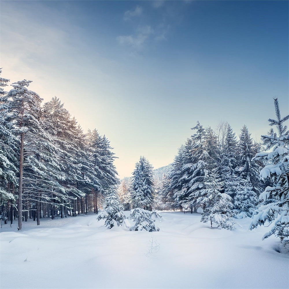 Winter Woods Backdrop Serene Pine Landscape Backdrop BRP11-490