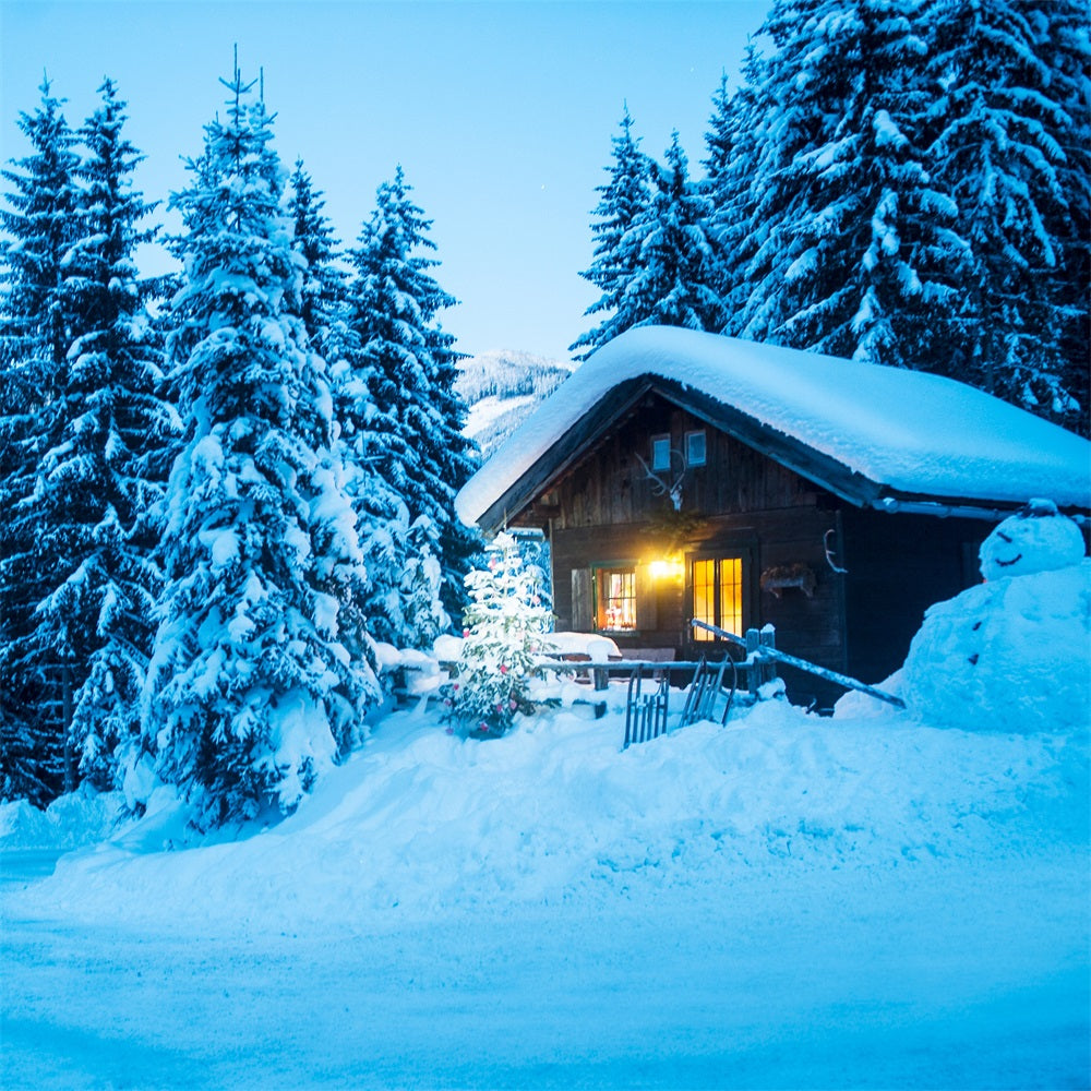 Winter Scene Backdrops Cabin Snowy Pine Forest Backdrop BRP11-494