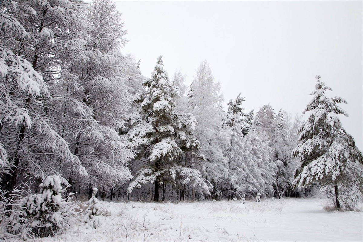 Winter Backdrops Snowy Landscape Icy Branches Backdrop BRP11-4