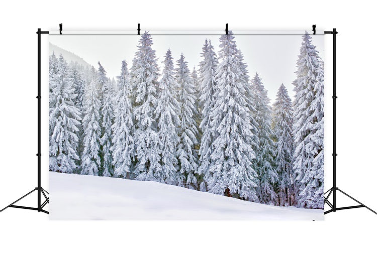 Winter Wonderland Photo Backdrop Snow-Covered Backdrop BRP11-5