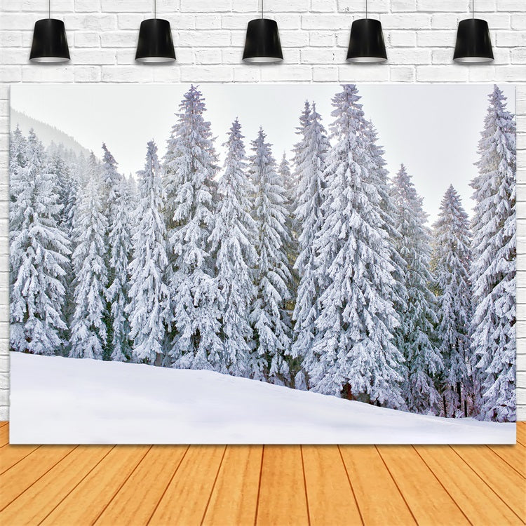 Winter Wonderland Photo Backdrop Snow-Covered Backdrop BRP11-5