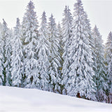 Winter Wonderland Photo Backdrop Snow-Covered Backdrop BRP11-5