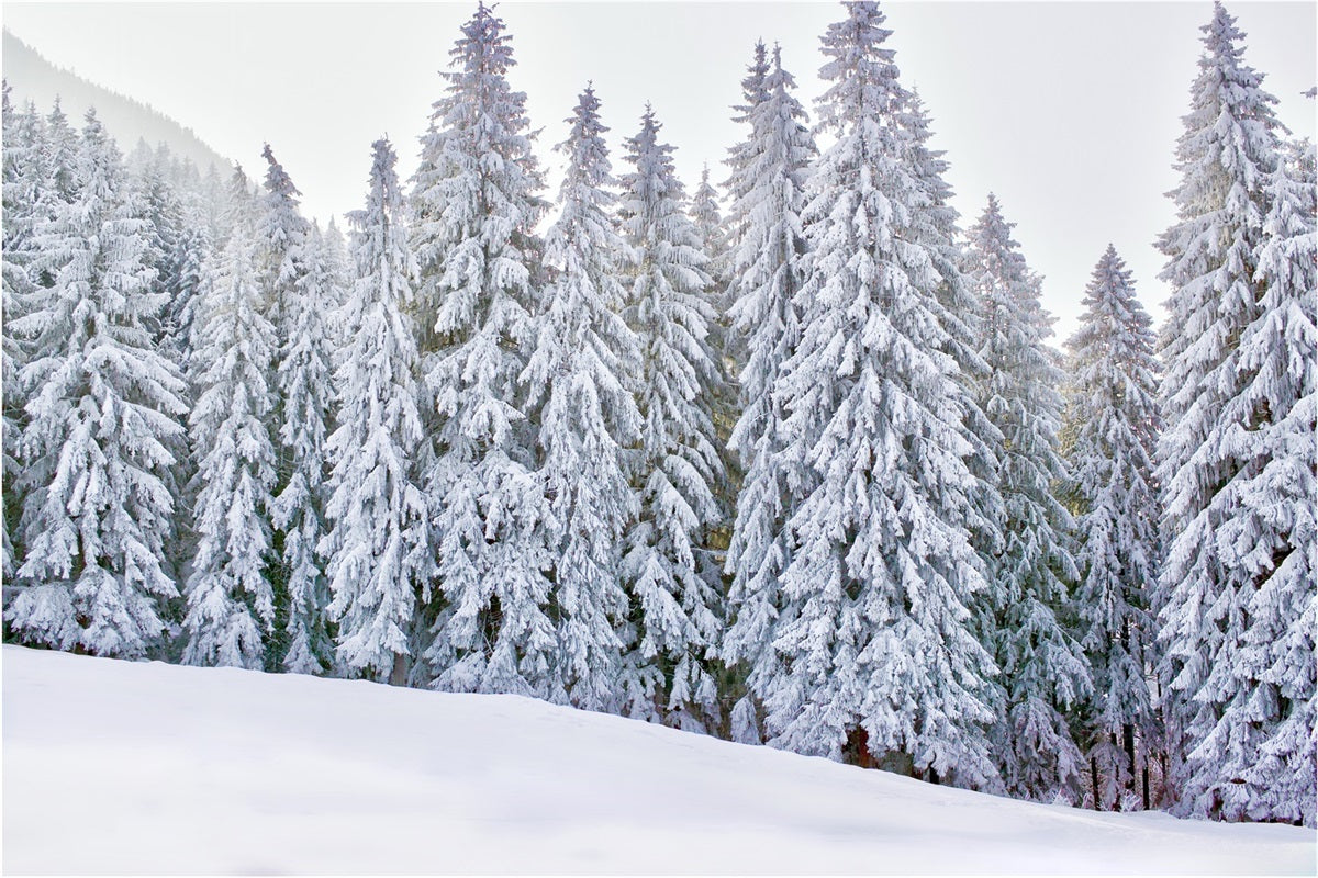 Winter Wonderland Photo Backdrop Snow-Covered Backdrop BRP11-5