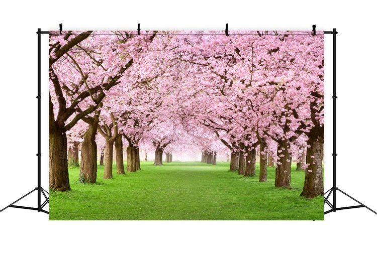 Photography Spring Backdrops Cherry Blossom Pathway Scenic Backdrop BRP11-514