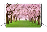 Photography Spring Backdrops Cherry Blossom Pathway Scenic Backdrop BRP11-514