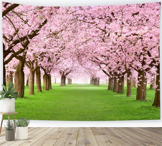 Photography Spring Backdrops Cherry Blossom Pathway Scenic Backdrop BRP11-514