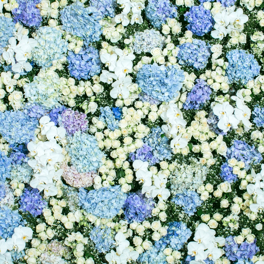 Spring Photography Backdrops Blue White Floral Wall Backdrop BRP11-518