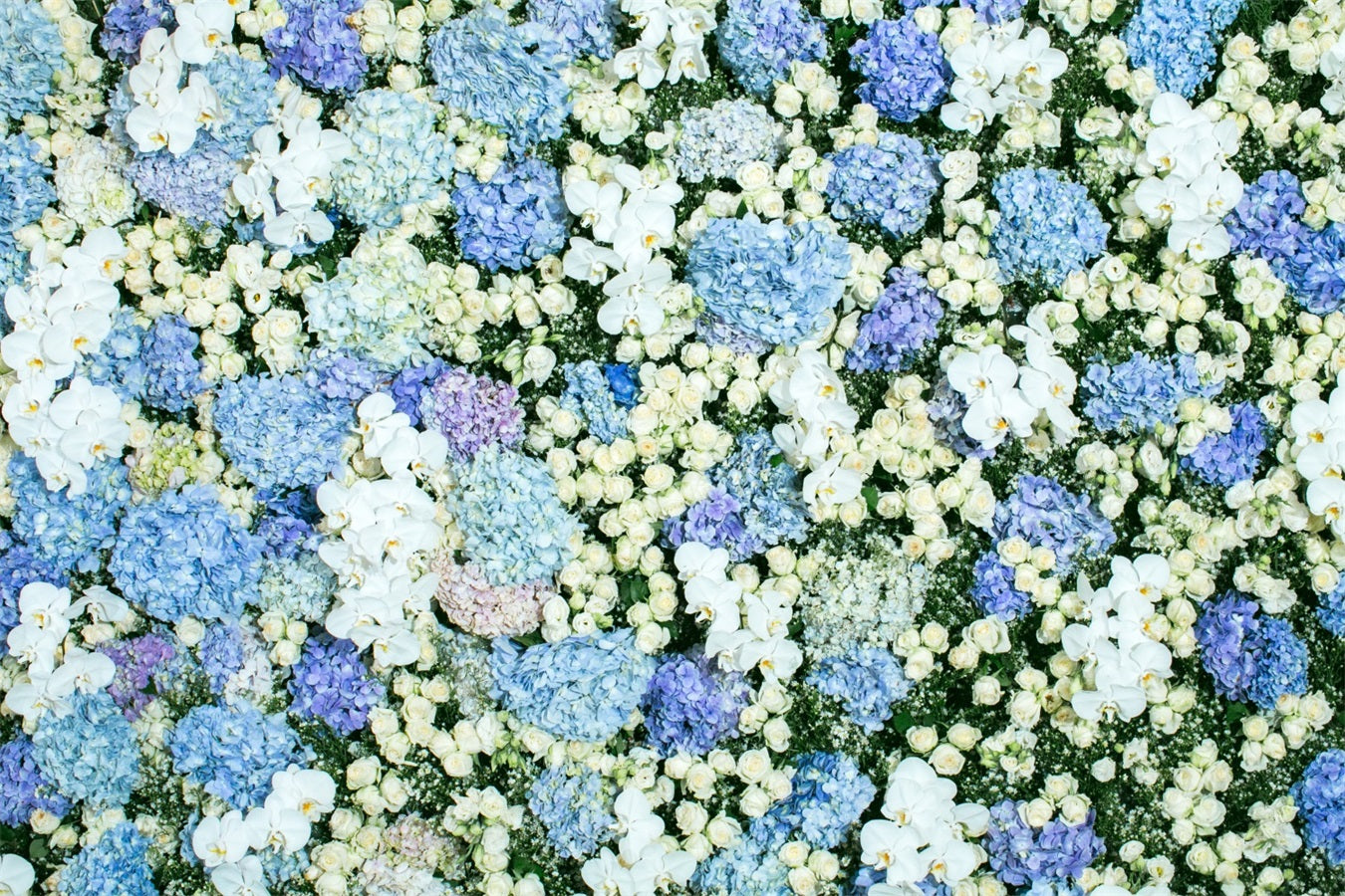 Spring Photography Backdrops Blue White Floral Wall Backdrop BRP11-518