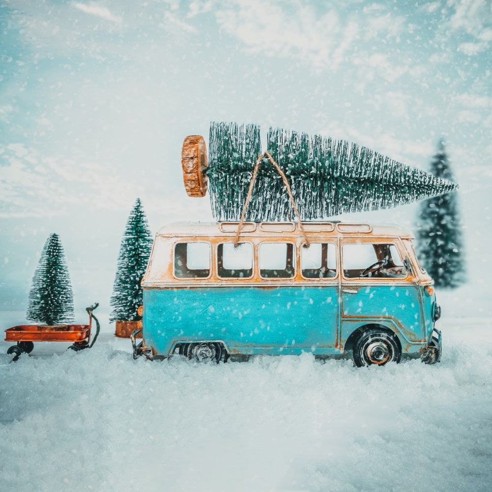 Winter Backdrop Photography Vintage Van Snowy Path Backdrop BRP11-55