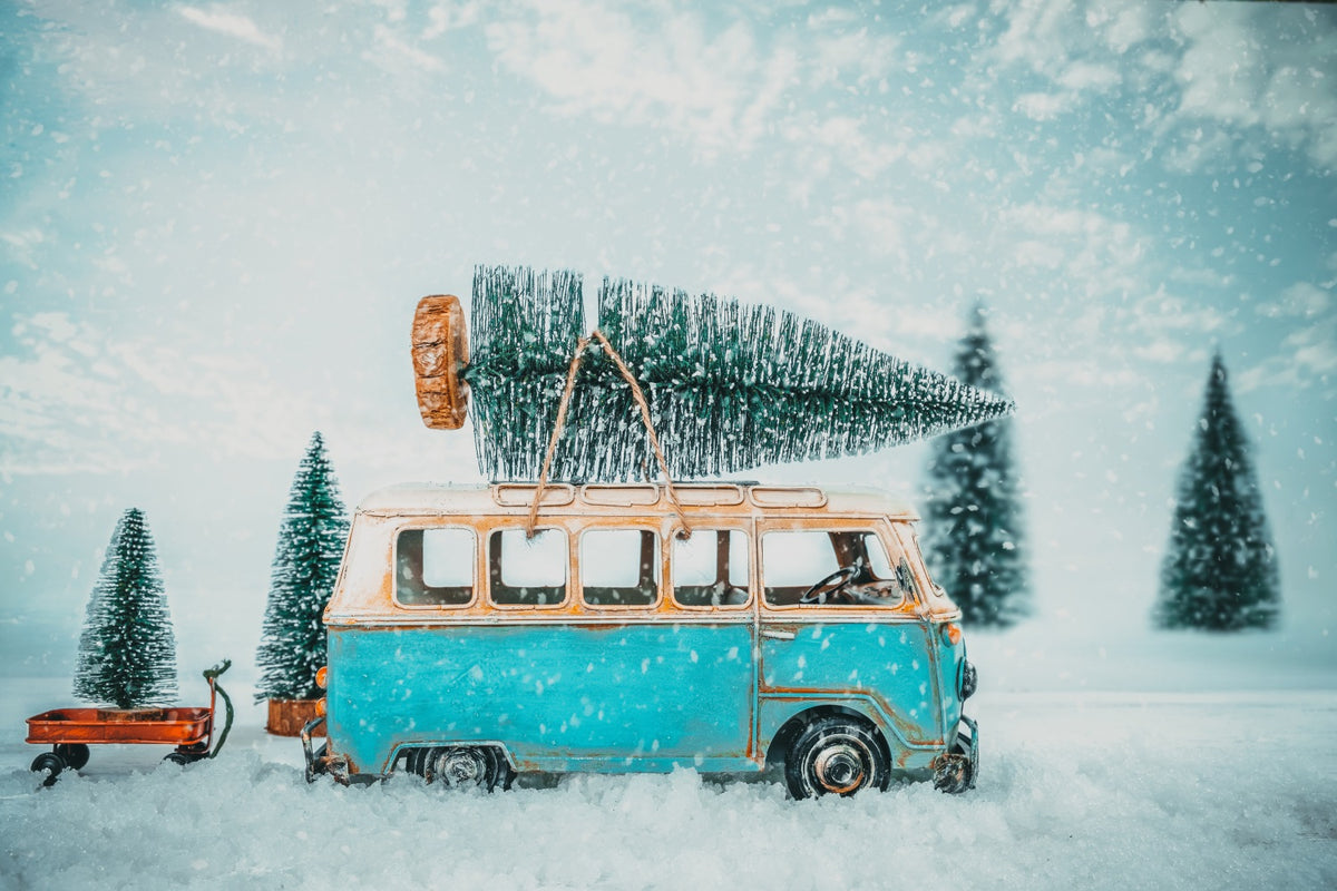 Winter Backdrop Photography Vintage Van Snowy Path Backdrop BRP11-55