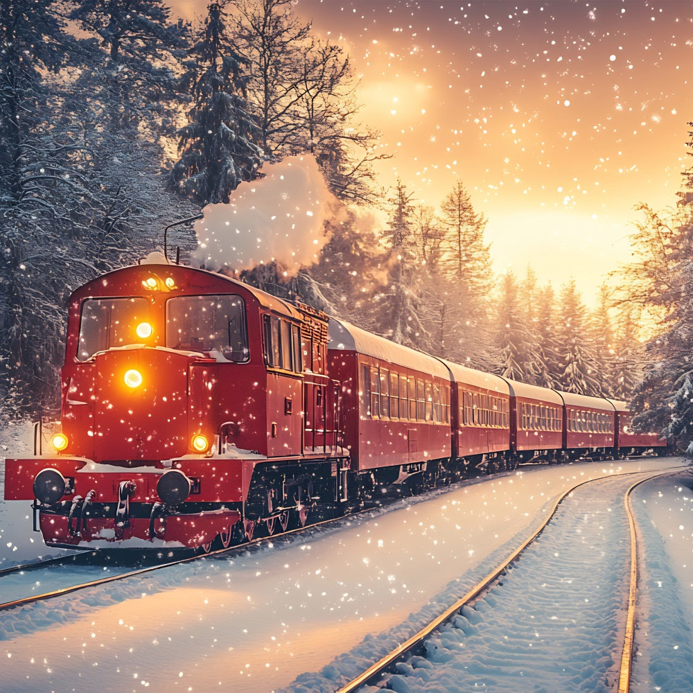 Winter Backdrop Scenes Snowfall Red Train Frosty Forest Backdrop BRP11-58