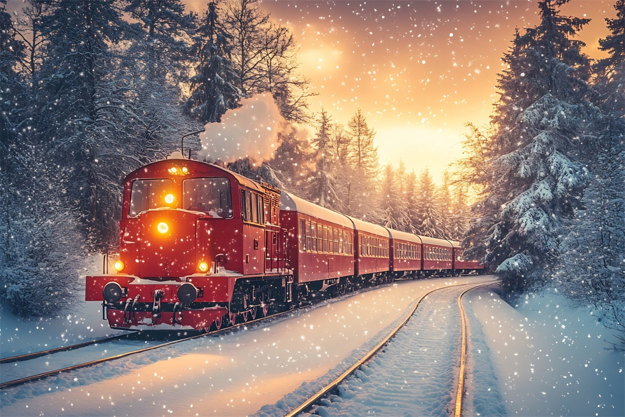 Winter Backdrop Scenes Snowfall Red Train Frosty Forest Backdrop BRP11-58