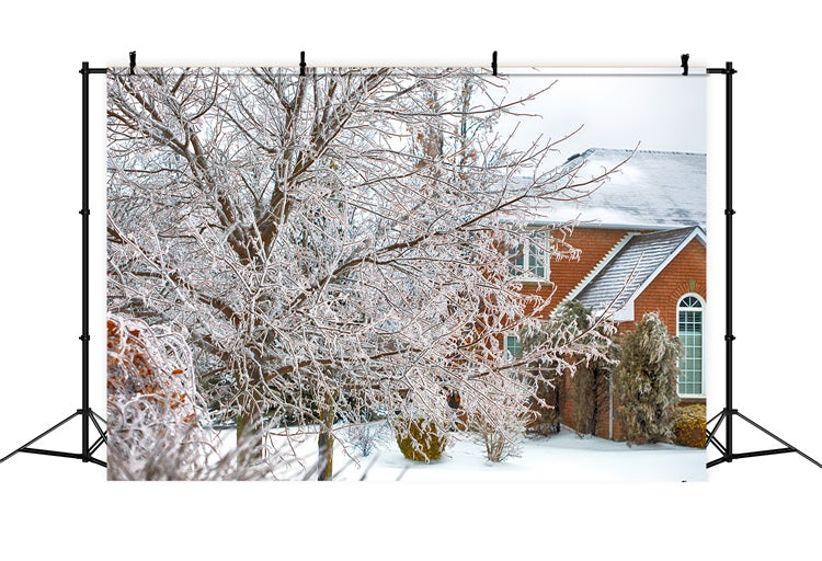 Winter Wonderland Backdrop Frosted Foliage House Backdrop BRP11-6