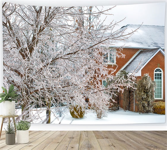 Winter Wonderland Backdrop Frosted Foliage House Backdrop BRP11-6