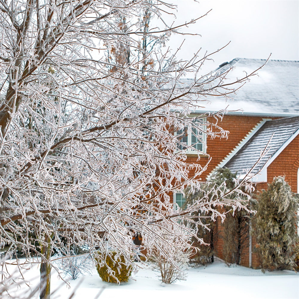 Winter Wonderland Backdrop Frosted Foliage House Backdrop BRP11-6