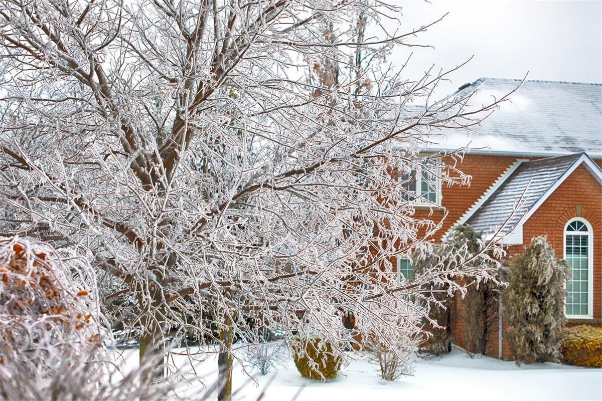 Winter Wonderland Backdrop Frosted Foliage House Backdrop BRP11-6