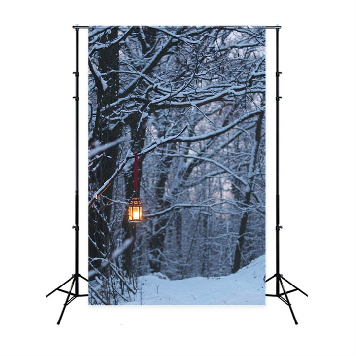 Winter Backdrops Photography Glowing Lantern Backdrop BRP11-64