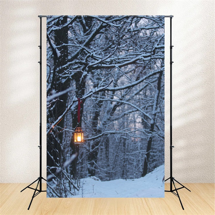 Winter Backdrops Photography Glowing Lantern Backdrop BRP11-64