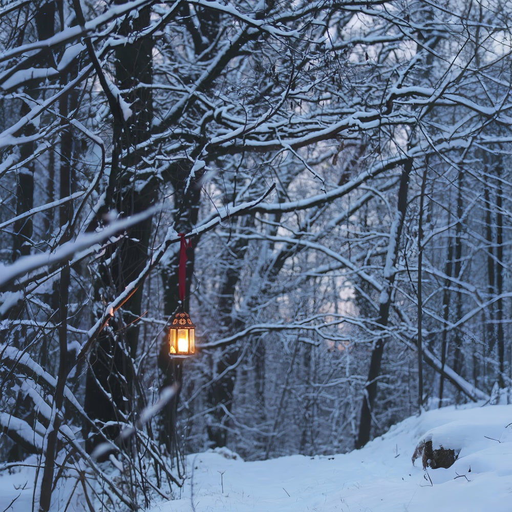 Winter Backdrops Photography Glowing Lantern Backdrop BRP11-64