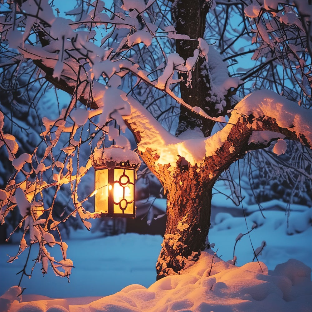 Winter Backdrops Snowy Tree Glowing Lantern Backdrop BRP11-65