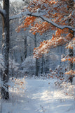 Winter Scene Backdrops Orange Leaves Snow Backdrop BRP11-66