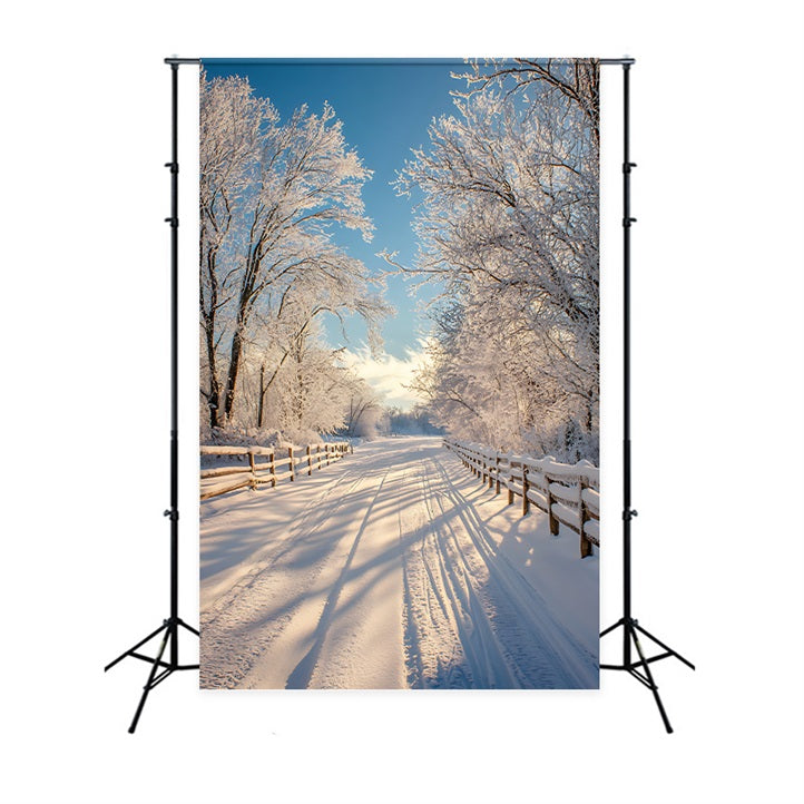 Winter Photo Backdrop Enchanted Landscape Snowy Path Backdrop BRP11-67