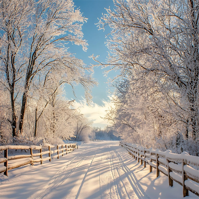 Winter Photo Backdrop Enchanted Landscape Snowy Path Backdrop BRP11-67