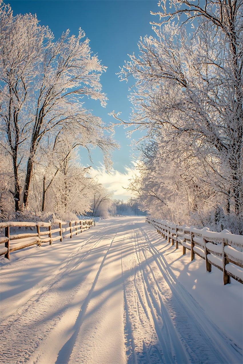 Winter Photo Backdrop Enchanted Landscape Snowy Path Backdrop BRP11-67