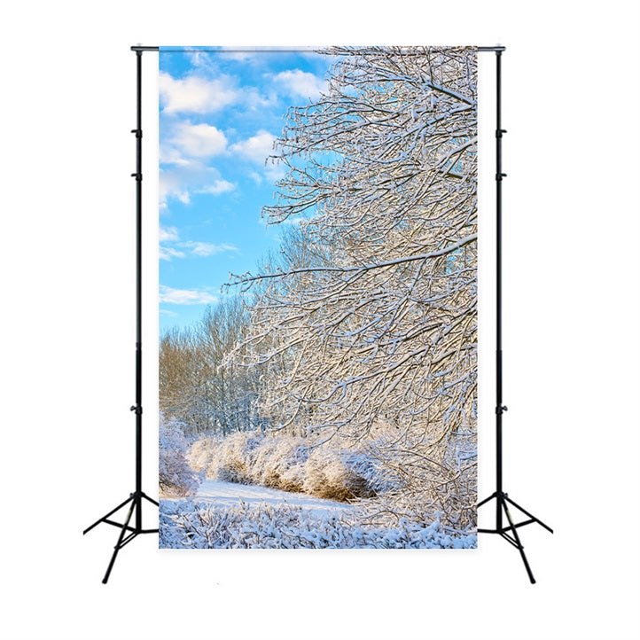 Winter Backdrop Frosty Branches Bright Sky Backdrop BRP11-68