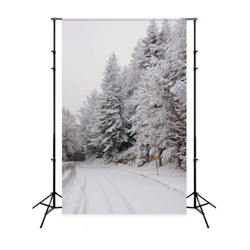 Winter Wonderland Backdrops Pathway Snow-Capped Pines Backdrop BRP11-69