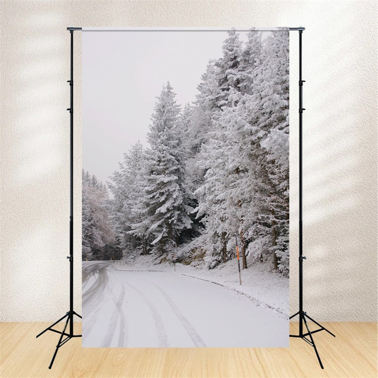 Winter Wonderland Backdrops Pathway Snow-Capped Pines Backdrop BRP11-69