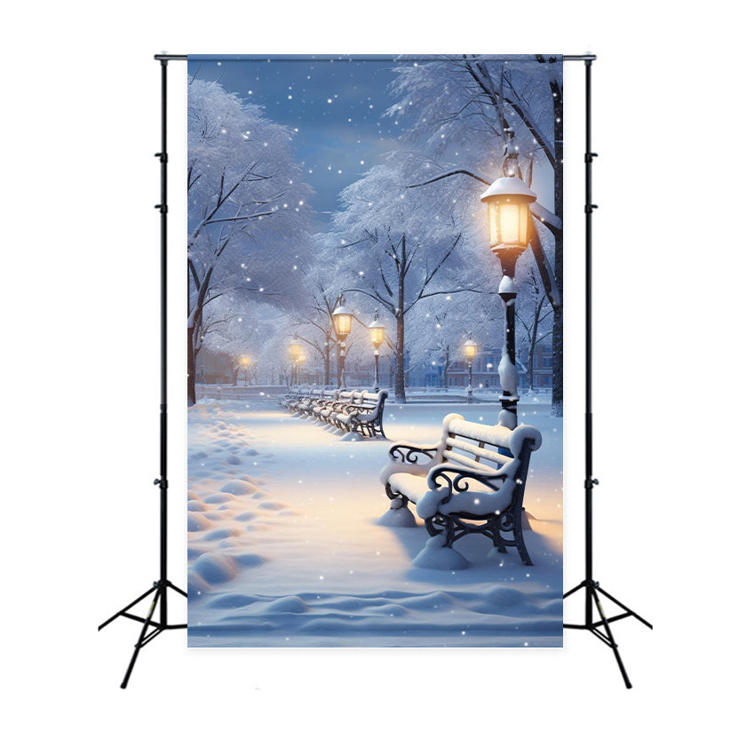 Winter Photo Backdrops Enchanted Snowy Evening Park Backdrop BRP11-70