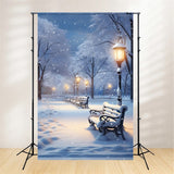 Winter Photo Backdrops Enchanted Snowy Evening Park Backdrop BRP11-70