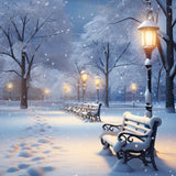 Winter Photo Backdrops Enchanted Snowy Evening Park Backdrop BRP11-70