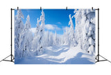 Winter Photography Backdrops Pine Trees Bright Sky Backdrop BRP11-8