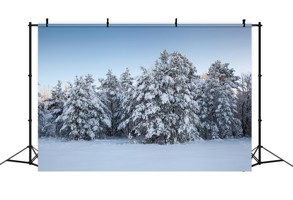 Winter Photo Backdrops Evergreen Trees Snow Backdrop BRP11-9