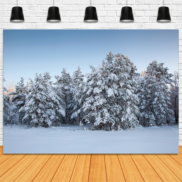 Winter Photo Backdrops Evergreen Trees Snow Backdrop BRP11-9