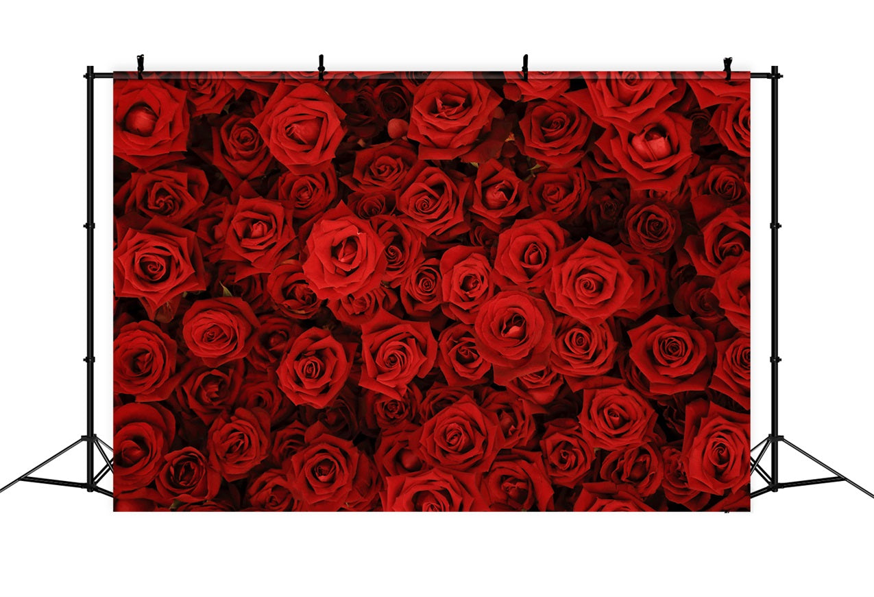 Backdrop Weddings Red Rose Floral Wall Backdrop BRP12-384