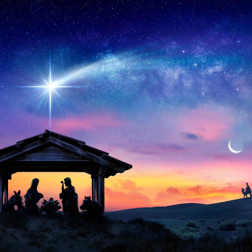 Nativity Photo Backdrop Sunset Manger Star Bethlehem Backdrop BRP12-441